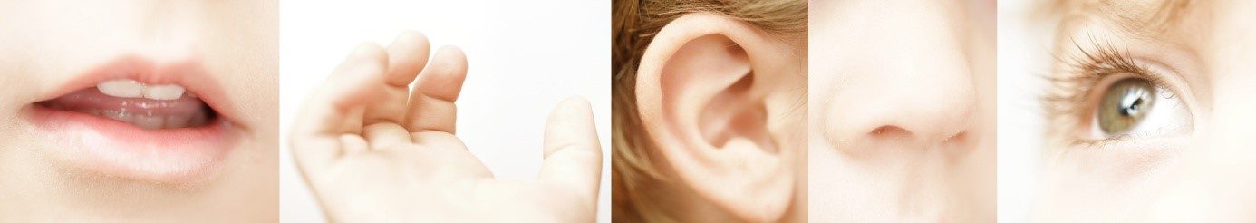Mit dem Kopfkino zum Erfolg - Visualisierung - innere Bilder - Antje Heimsoeth