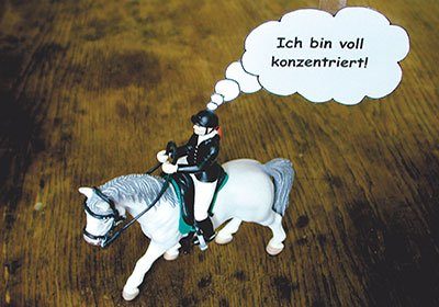 Mentaltraining für Reiter - Konzentriert reiten Mentaltraining für Reiter - Konzentriert reiten