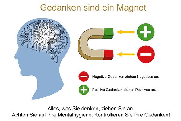 Online Kurs 