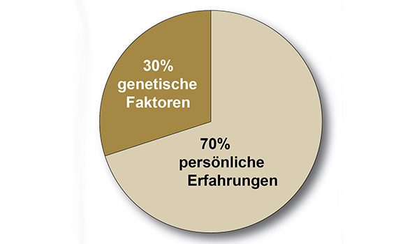 Vertrauen entscheidet – Die vergessene Basis der Führung