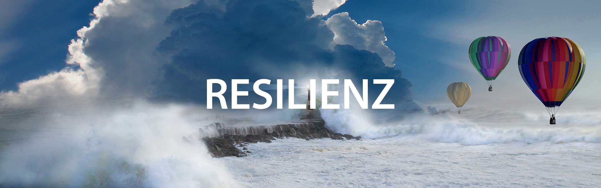 Vortrag Resilienz - Antje Heimsoeth Vortrag Resilienz - Antje Heimsoeth