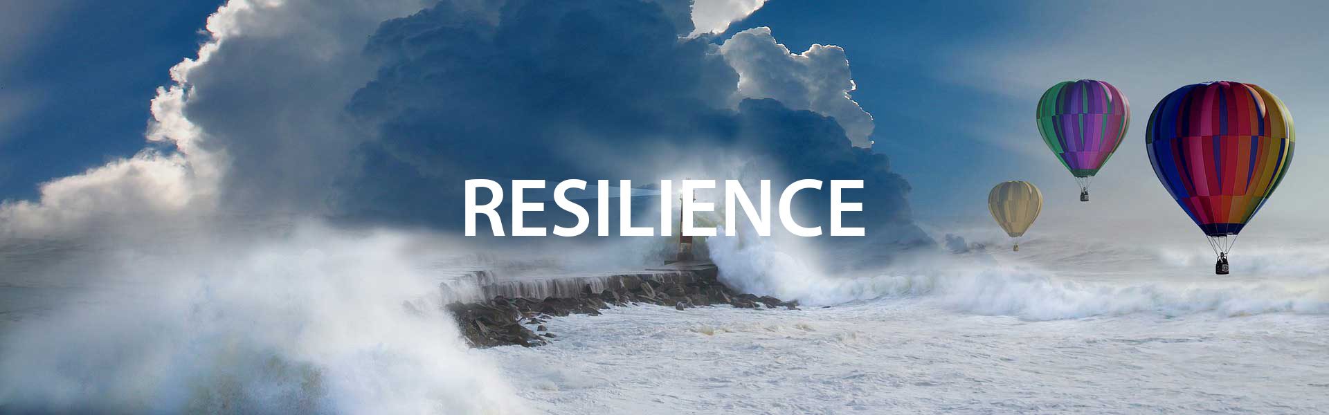 Resilience Resilience