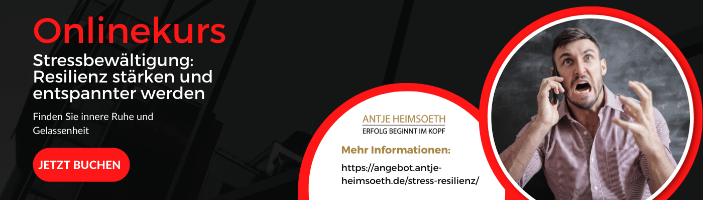 ONLINEKURS STRESSBEWÄLTIGUNG: RESILIENZ STÄRKEN UND ENTSPANNTER WERDEN