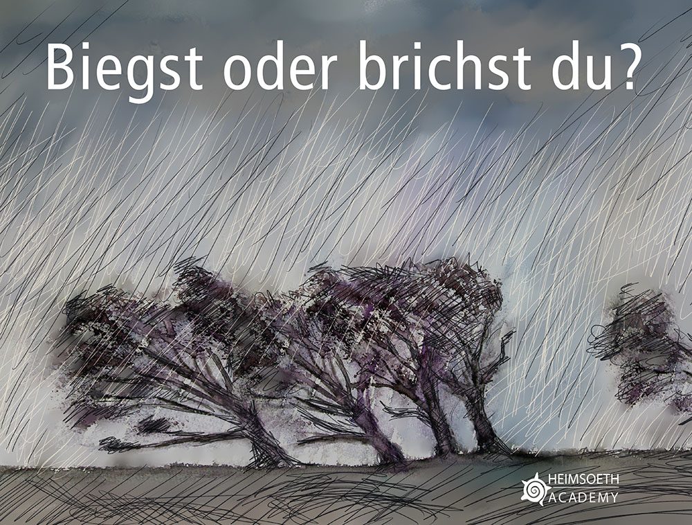 Vortrag Resilienz mit Antje Heimsoeth Vortrag Resilienz mit Antje Heimsoeth